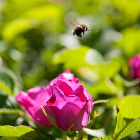 Διαμέρισμα Eifel Relax