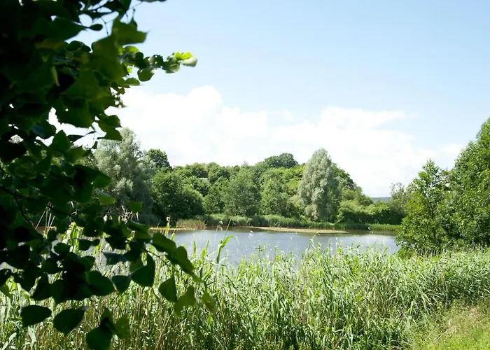 Eifel Relax Lejlighed